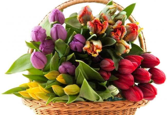 Оперативная доставка цветов в Харькове