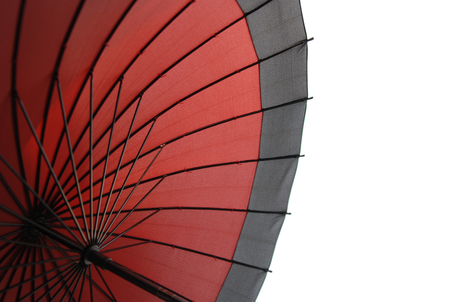 Элитные зонты: в чем их эксклюзивность и уникальность